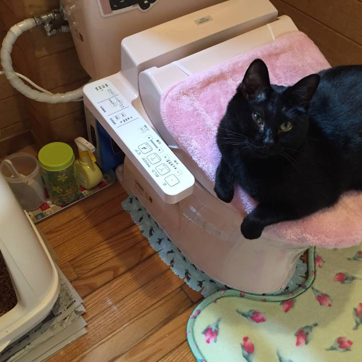 D068e6b4 d25b 4584 bd80 3cf4f0674d28