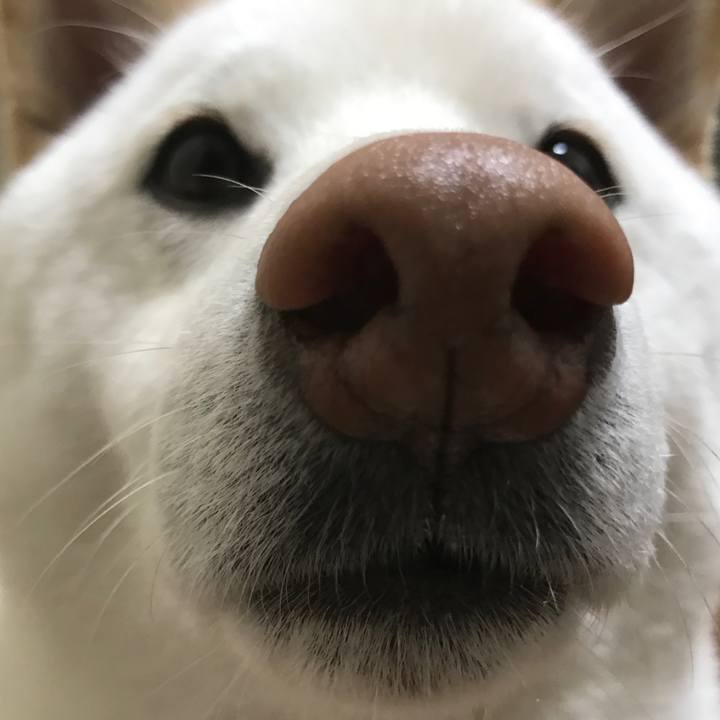 D069a201 fddb 4b6c af90 3e7fc0009e39