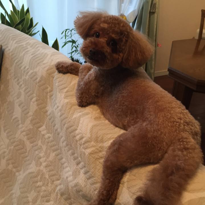 D06ae3c2 b426 464c 9bd2 013ec50b2e5e