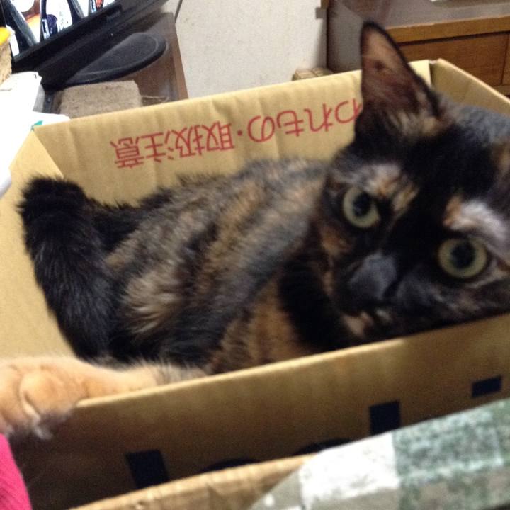 D06b05f3 a584 4530 8fa0 cc314202c02c