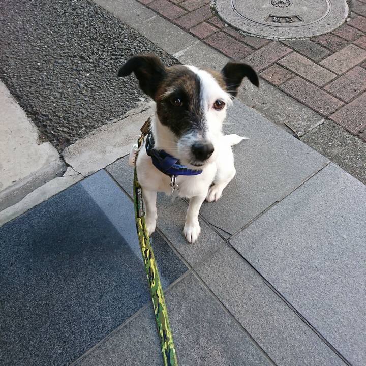 D06b0ae7 a158 4881 a307 67c3ce2841f7