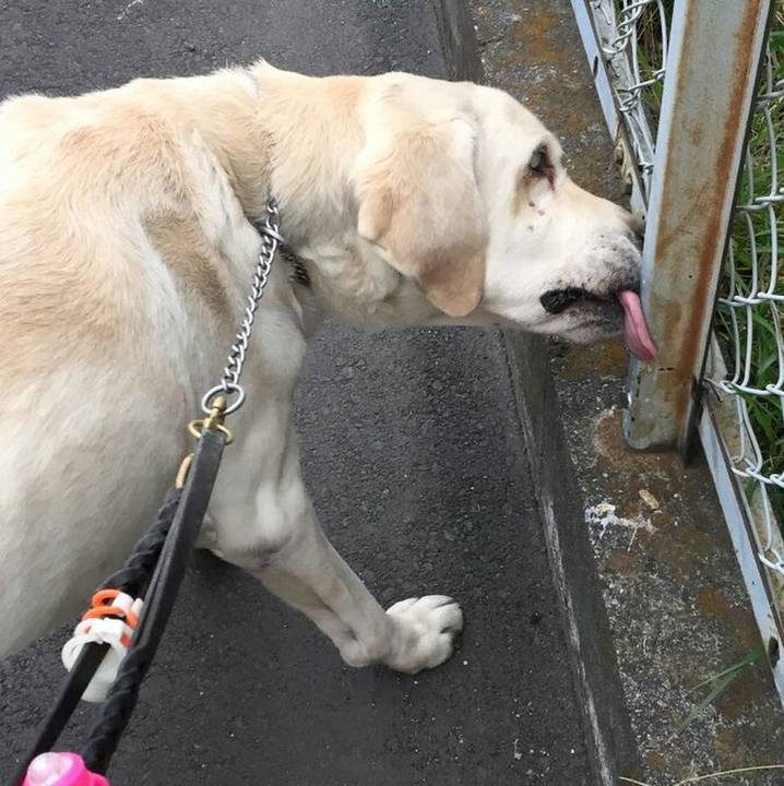 D06b5f74 7ec9 4108 b370 8ce3631f3661