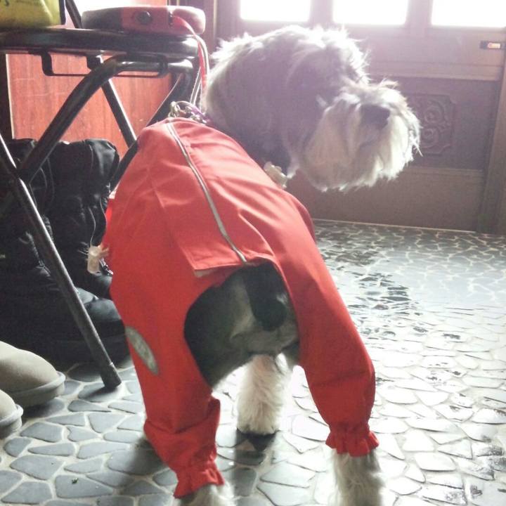 D06bb860 edc8 4613 bf11 8d79f2a5f43f