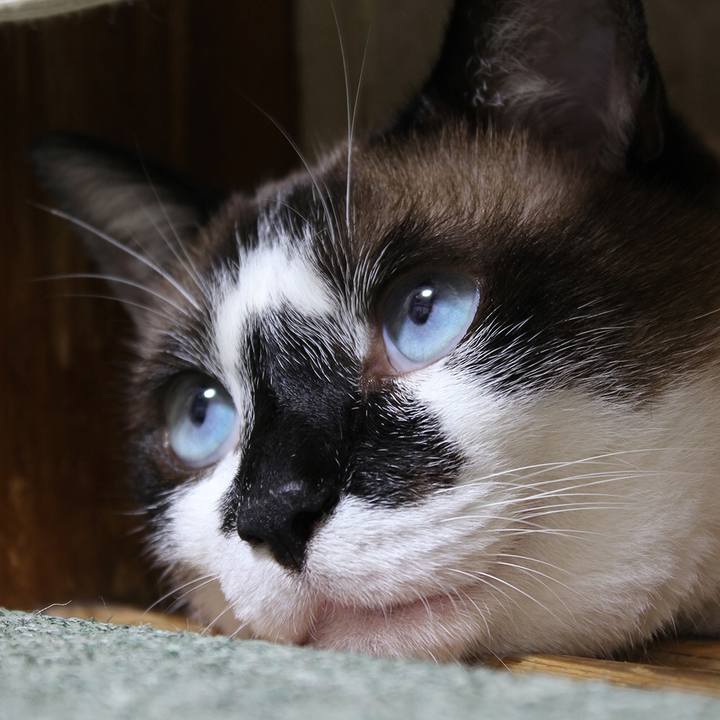 D06be5d6 86a1 424f 9d5a e658b95c7022