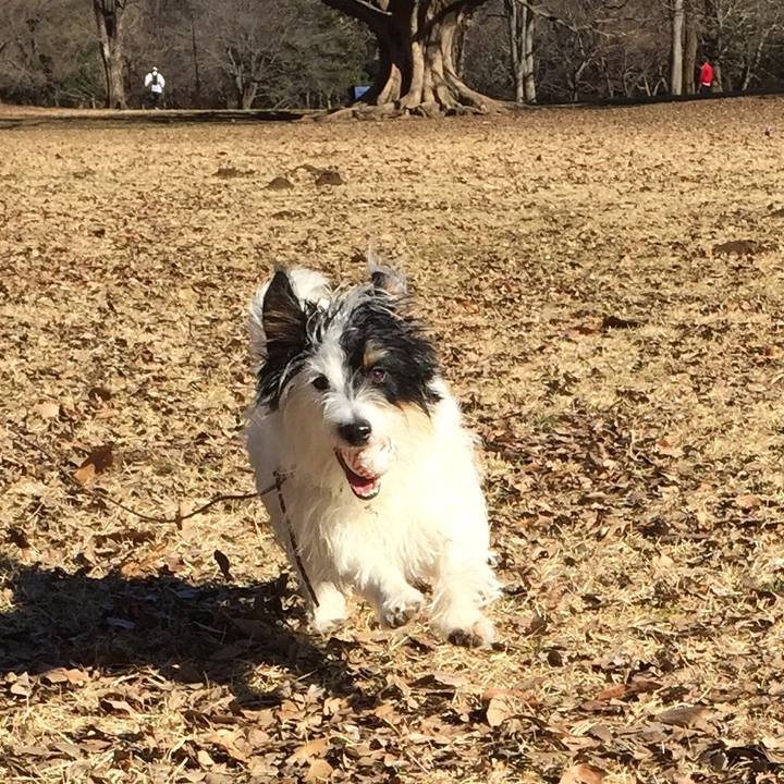 D06bf359 24eb 422d a5ee 6e5ce41acb39