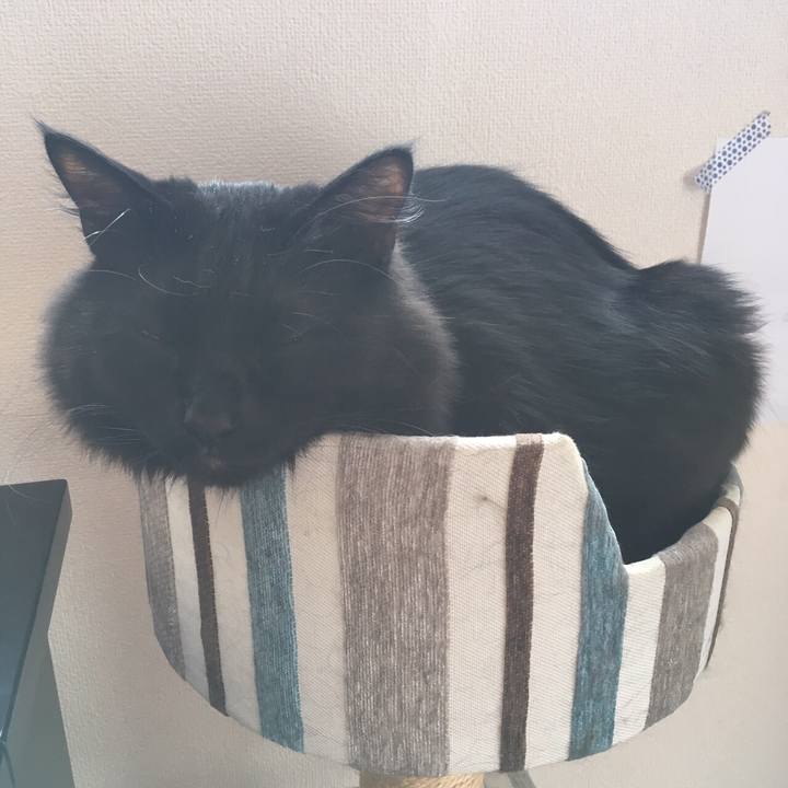 D06cb4fc 4c8c 4856 8aa3 bba89a75185a