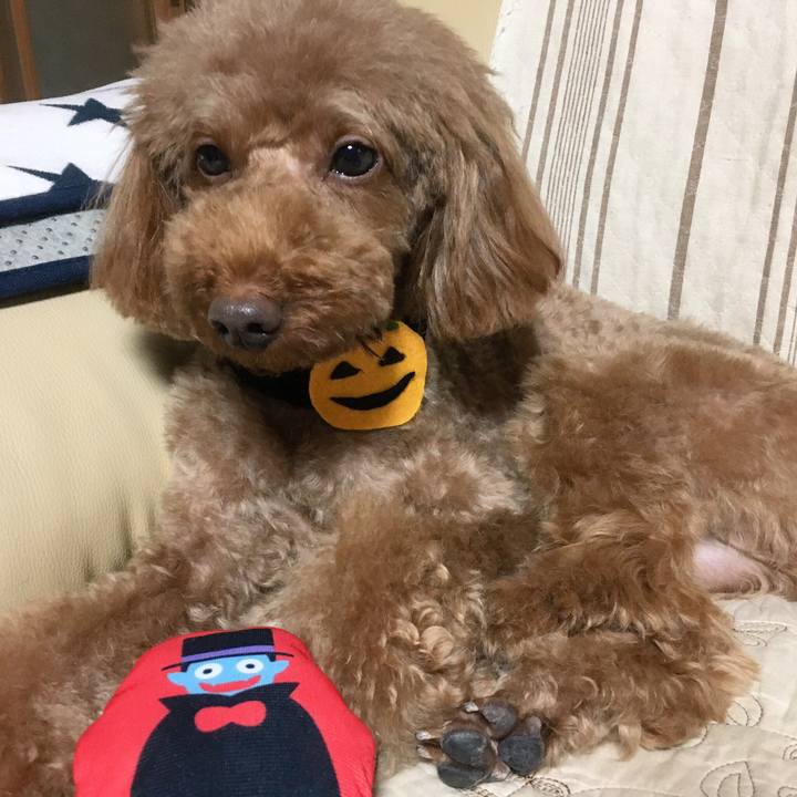 D06cbb6a e033 46b2 a2be 183b4bf6625f