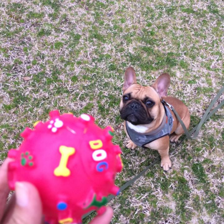 D06d77ba 093f 40d1 b820 3f1e356d685e