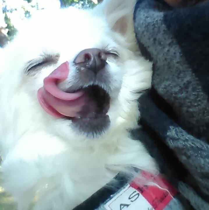 D06d7a3c c84f 44c6 8419 fe1670e4d4c5