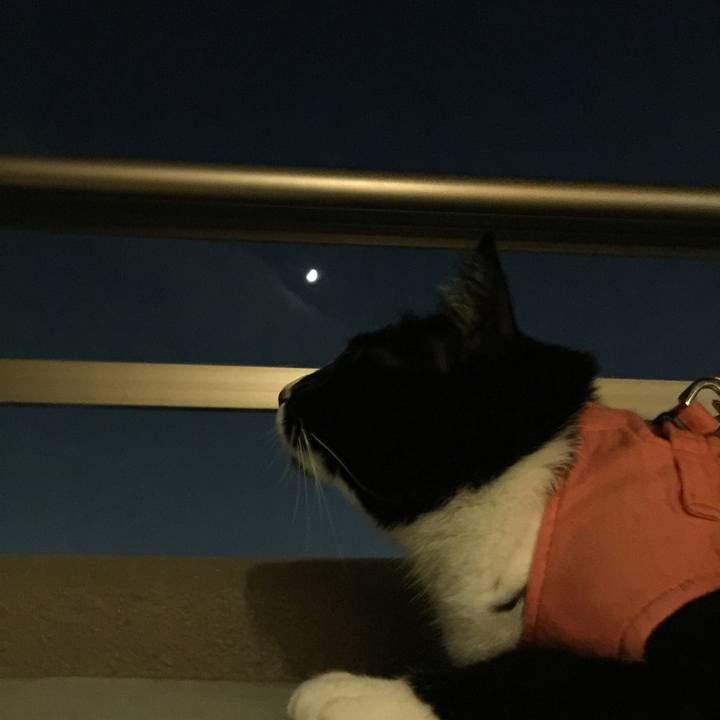 D06f103d 9957 47a3 9ba4 71fddb777cbf