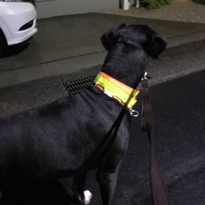 D06f1414 36a3 4c0a 91f0 d8d89077a4f0