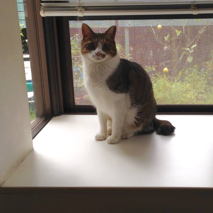 D06f5fa3 e4b2 4868 9bec 2301bd3a3e23