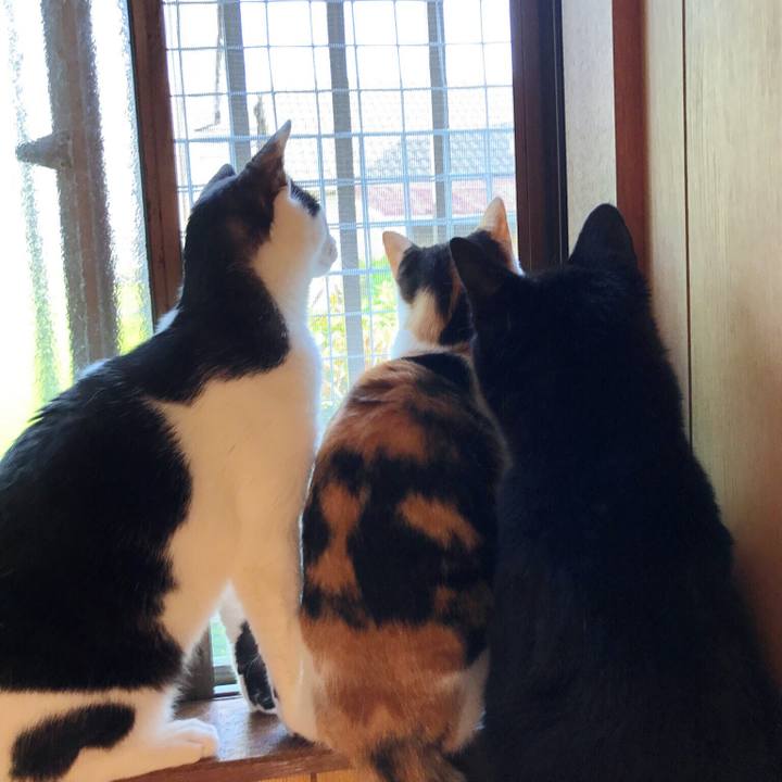 D070060d 9c76 494a b7aa 1d368a0c5e24