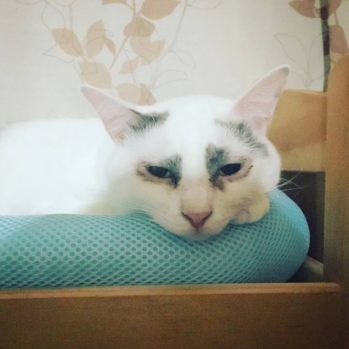 D0700e7b 4e9c 442a 9aa8 9d3d6eac048a