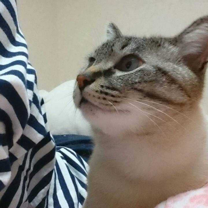 D0703e7e 327e 45b2 b7dd 9eafacb5d69e