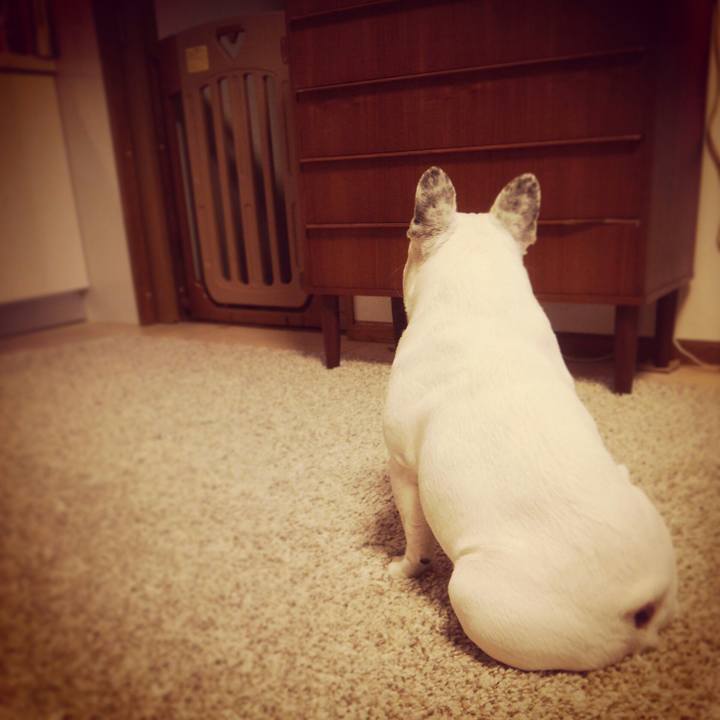 D0709fae 5a16 4c5b 9de1 98a847a04fc6