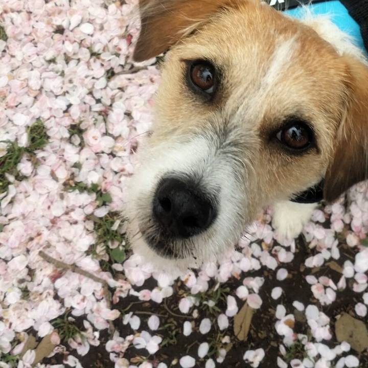 D0712216 d26f 45ea 845d 778289dd9ab2