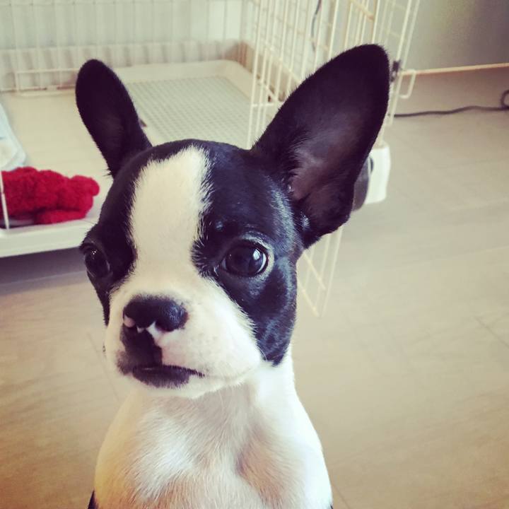 D0717cfa 6a52 4955 a532 ebbadd2c287a