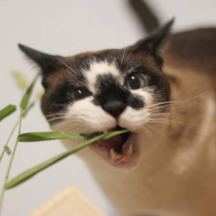 D071d855 ebc6 4d1c bdd8 ca41126dacde