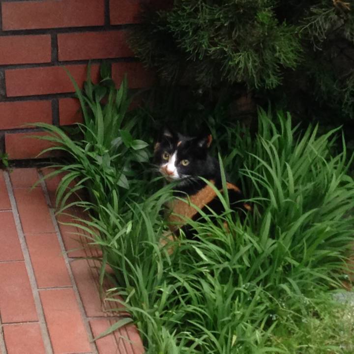 D072a40d 17be 4495 b025 54207d9479d5