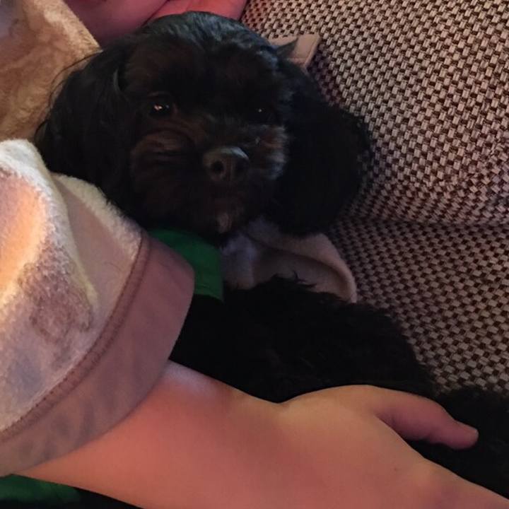 D072ae2e 5881 4015 b154 874488a14c08