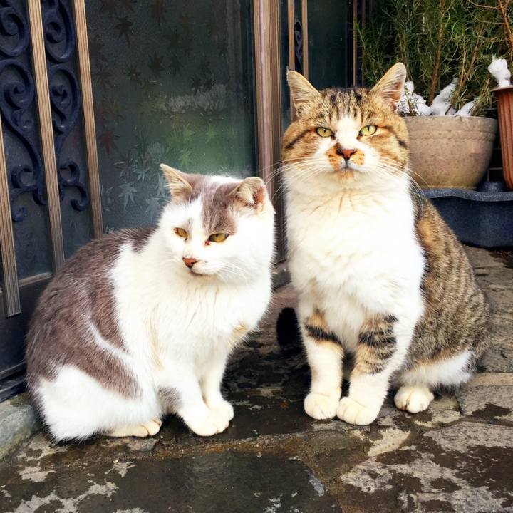 D073f42f 0bf9 4266 8b63 167ce1f4d315