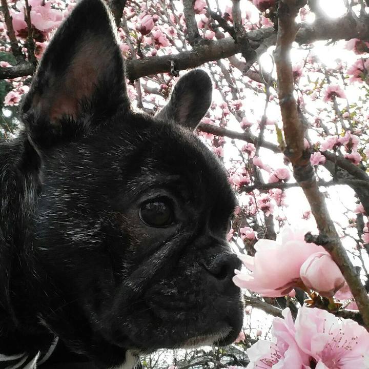 D0744e6d 2bd8 4a0b b770 baf91d629ce8