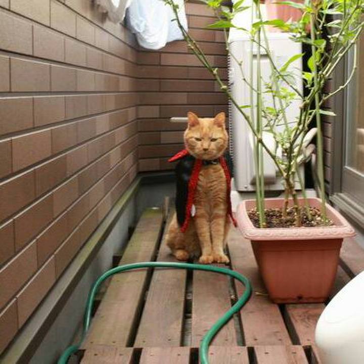 D0747114 66cb 466d 9f32 466c47d42a35