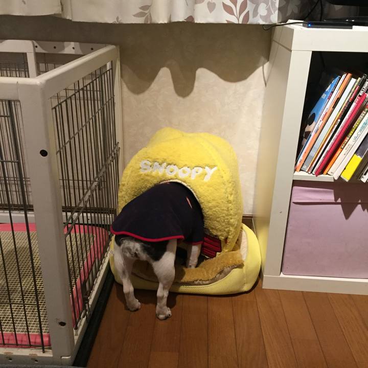 D07485a1 32cb 4ccc 88c8 b693c0880d23