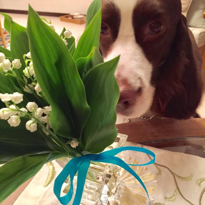 D0750d3d 11f7 45ec 94fe 78b6bff02619