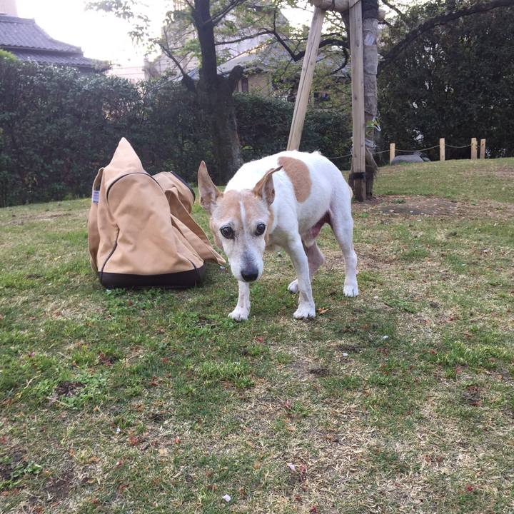 D075e8dc 8b88 464e b5d0 2c043e2d9c66