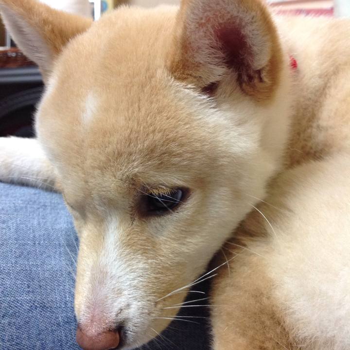 D0765d6c e880 4360 bd02 92fabfee9091