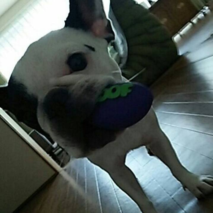 D076abd6 e8db 4edc bb68 c6e52d1cbf63