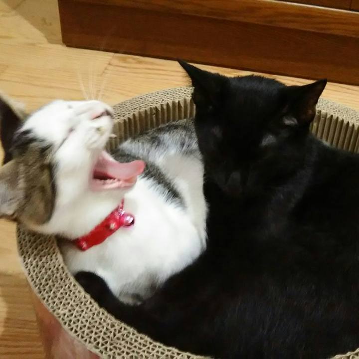 D0770395 a086 4144 9abe 8ebd695935c4