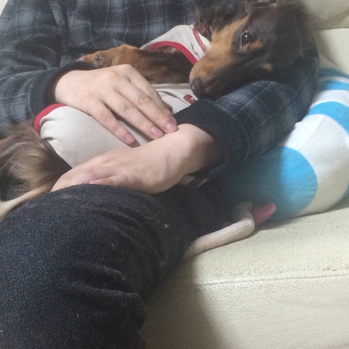 D077a244 3066 4eb7 925b 3fb34ce58cf3