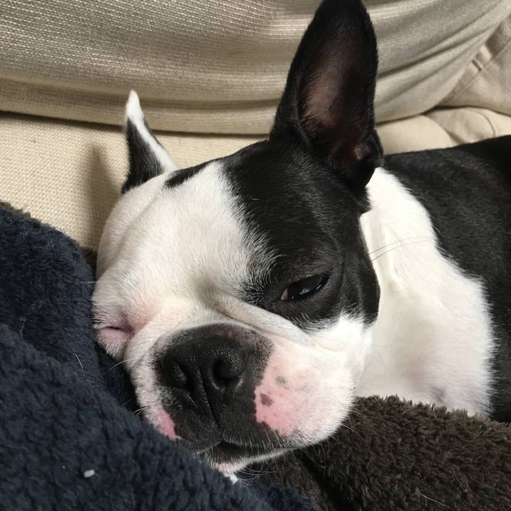 D077b9b8 693f 47ef 8f4f 4026355bf8d9