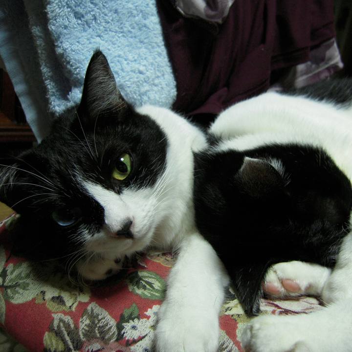 D077cb34 2358 4213 b23e 9026d4f73334