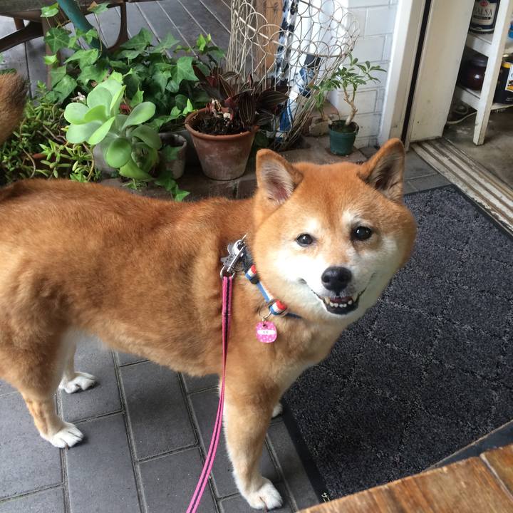 D07856b7 7392 4679 906e 29e0ade11168