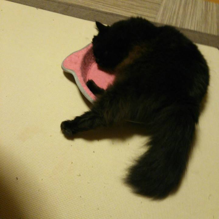 D078bc3f 0dee 4e0a 9b03 52a0eb594837