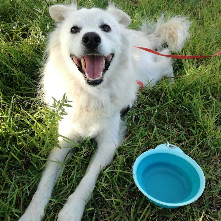 D079a5a9 a07a 4bdb 8ba3 89f21f39c88a