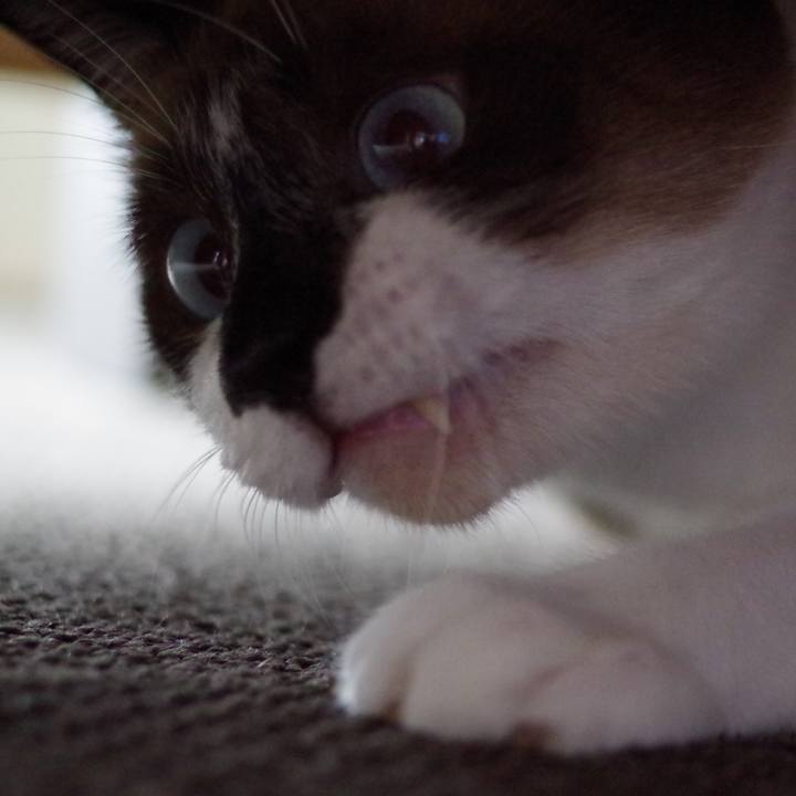 D079c76c 081f 4b5e 9bed e68e9343cfc5