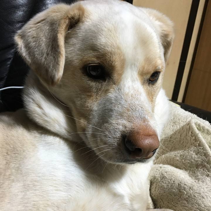 D079d694 050a 446b 950d d413449217f4