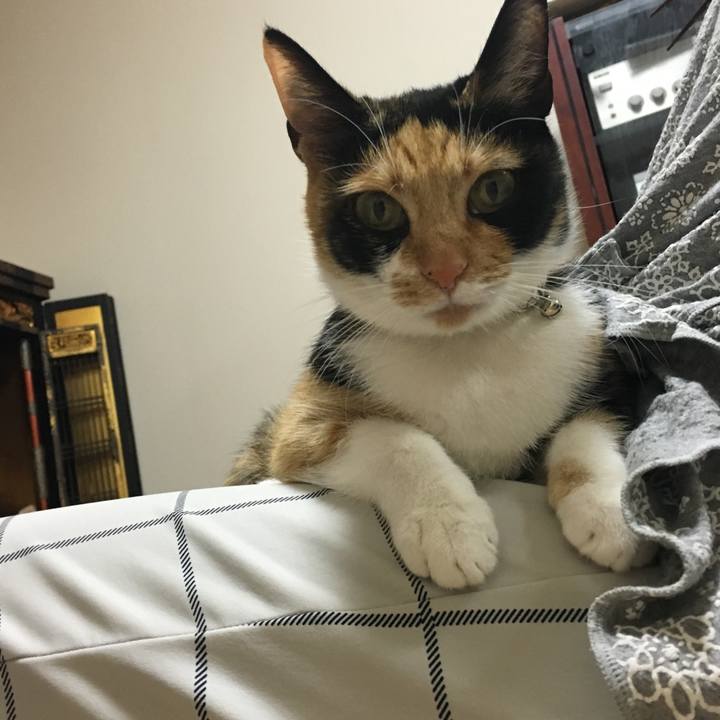 D07abd39 109f 4cc9 8e10 6e9e0007eb51