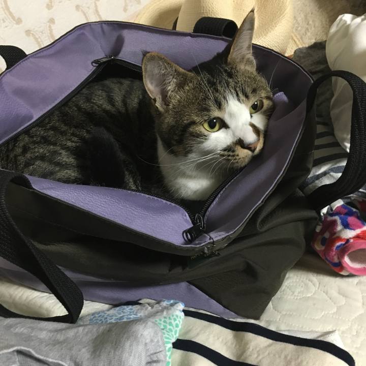 D07b17d5 4de5 4bc1 a6f7 ea2e8c7c920a