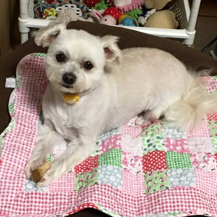 D07b27c6 7fb2 4309 8e5e 992582c3424a