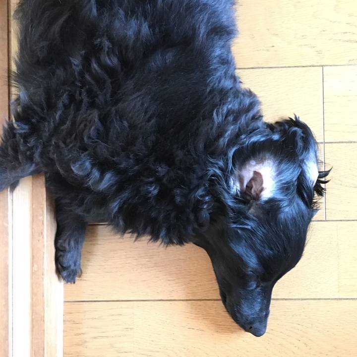 D07b3389 ea0a 4eb9 8861 9c621b937be7