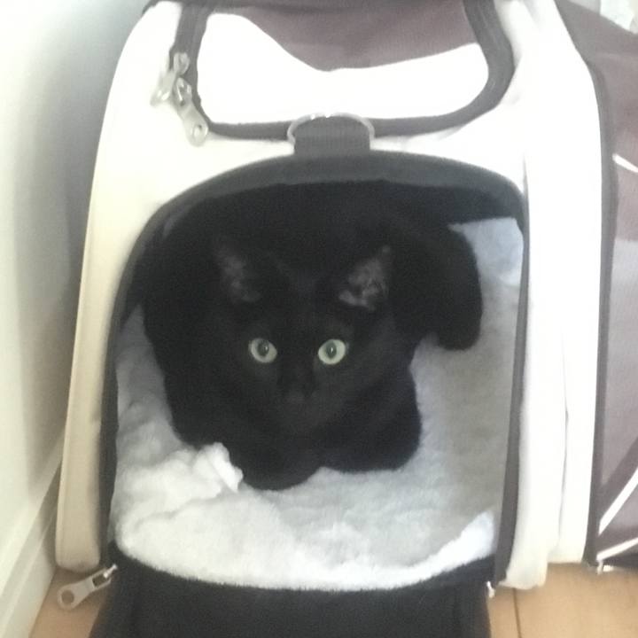 D07bedb7 9eae 4ad9 82c0 b05e52ebe4d7