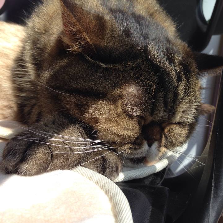 D07c4036 df5f 4ce9 9b39 a43959671750