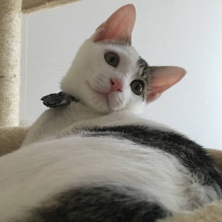 D07c923a d1bc 487a 9f83 a938843821b4