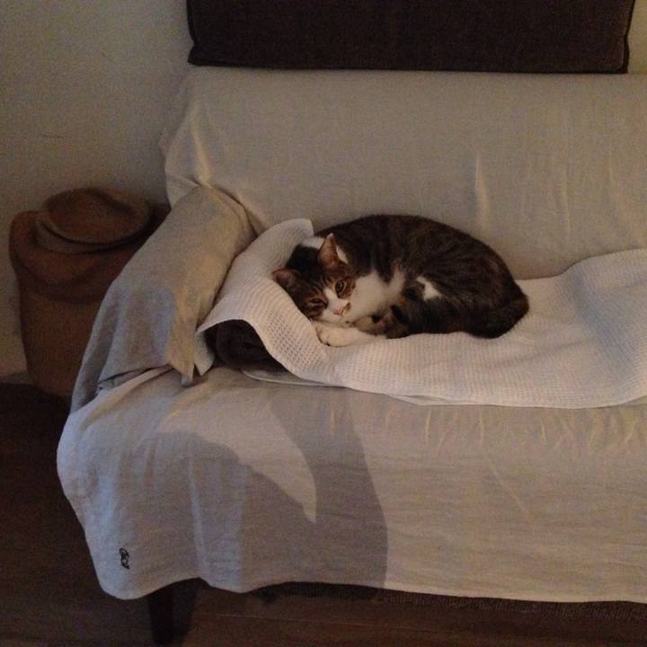 D07cadb7 9b33 407c b4e9 365439d1d9b3